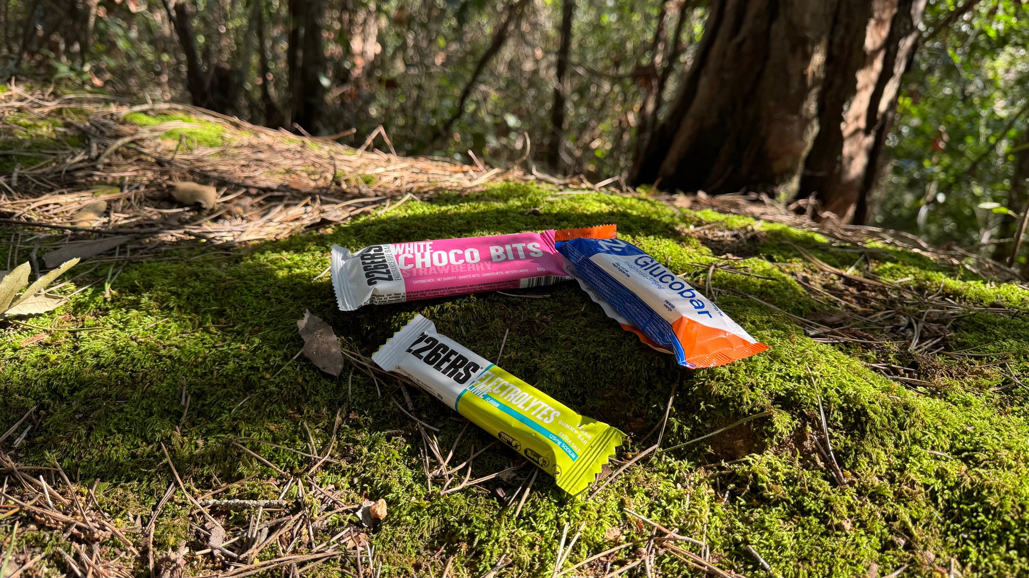 BARRITAS DE PROTEÍNA