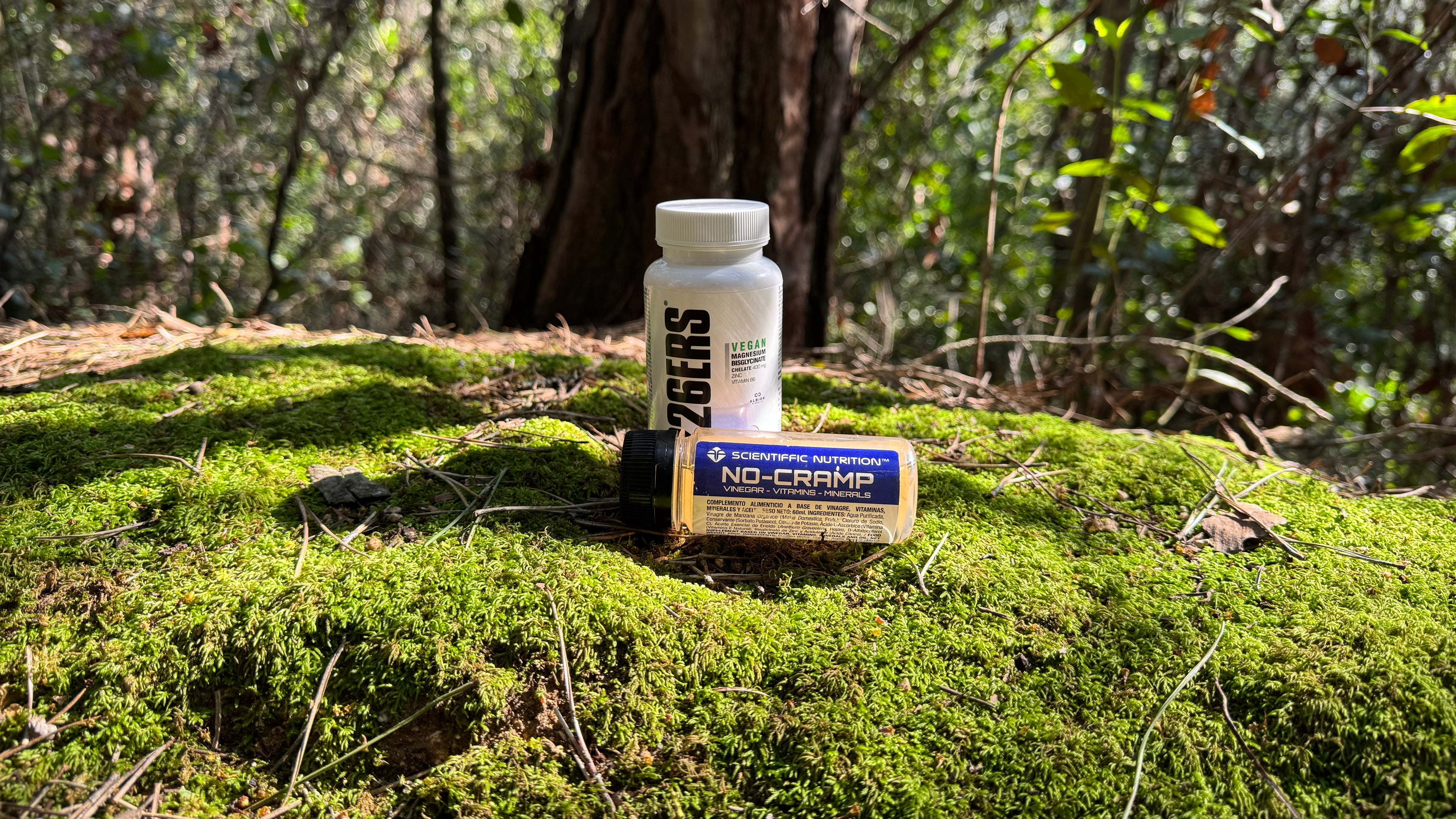 SUPLEMENTOS