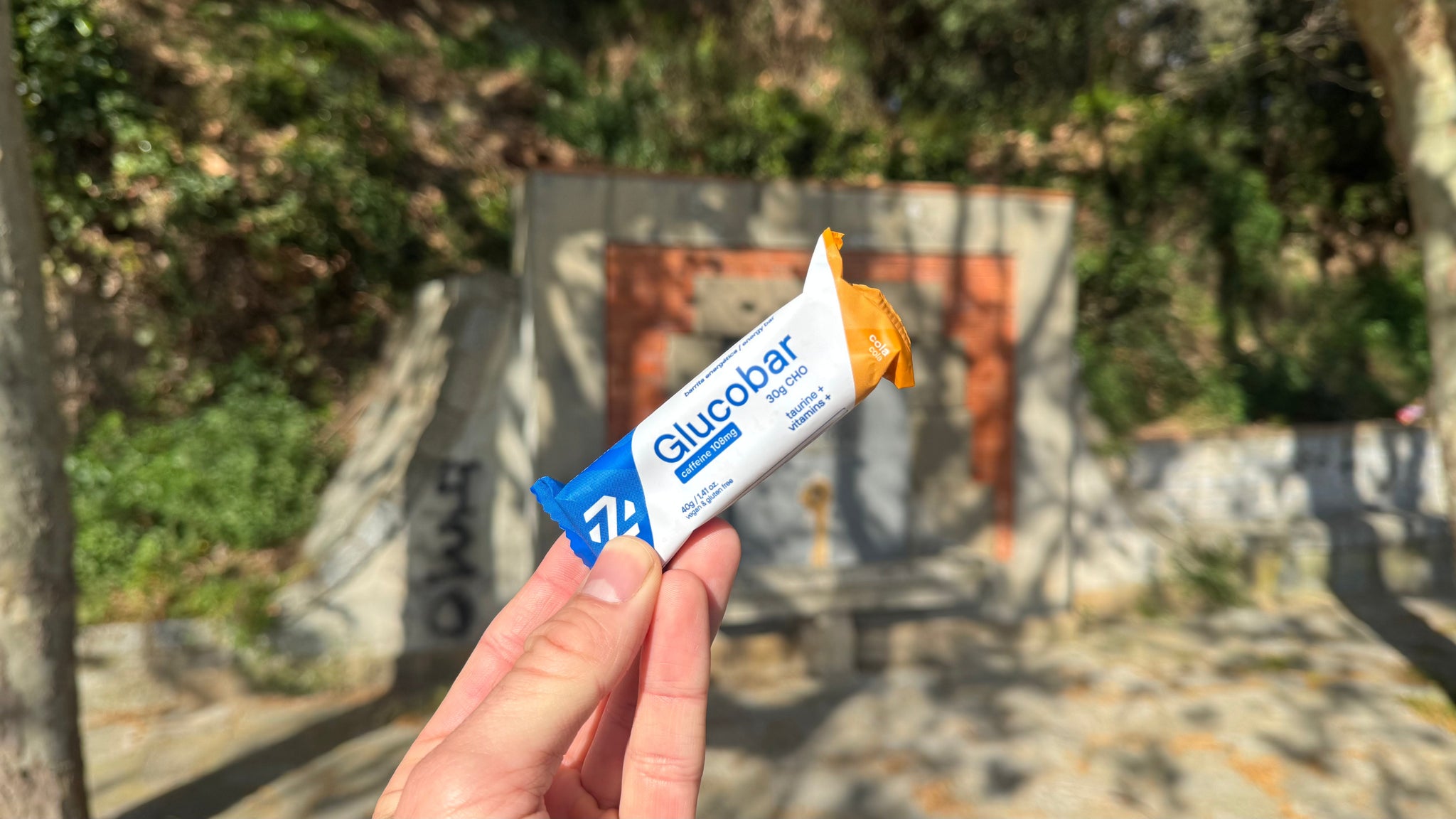 BARRITAS ENERGÉTICAS DE GOMINOLA