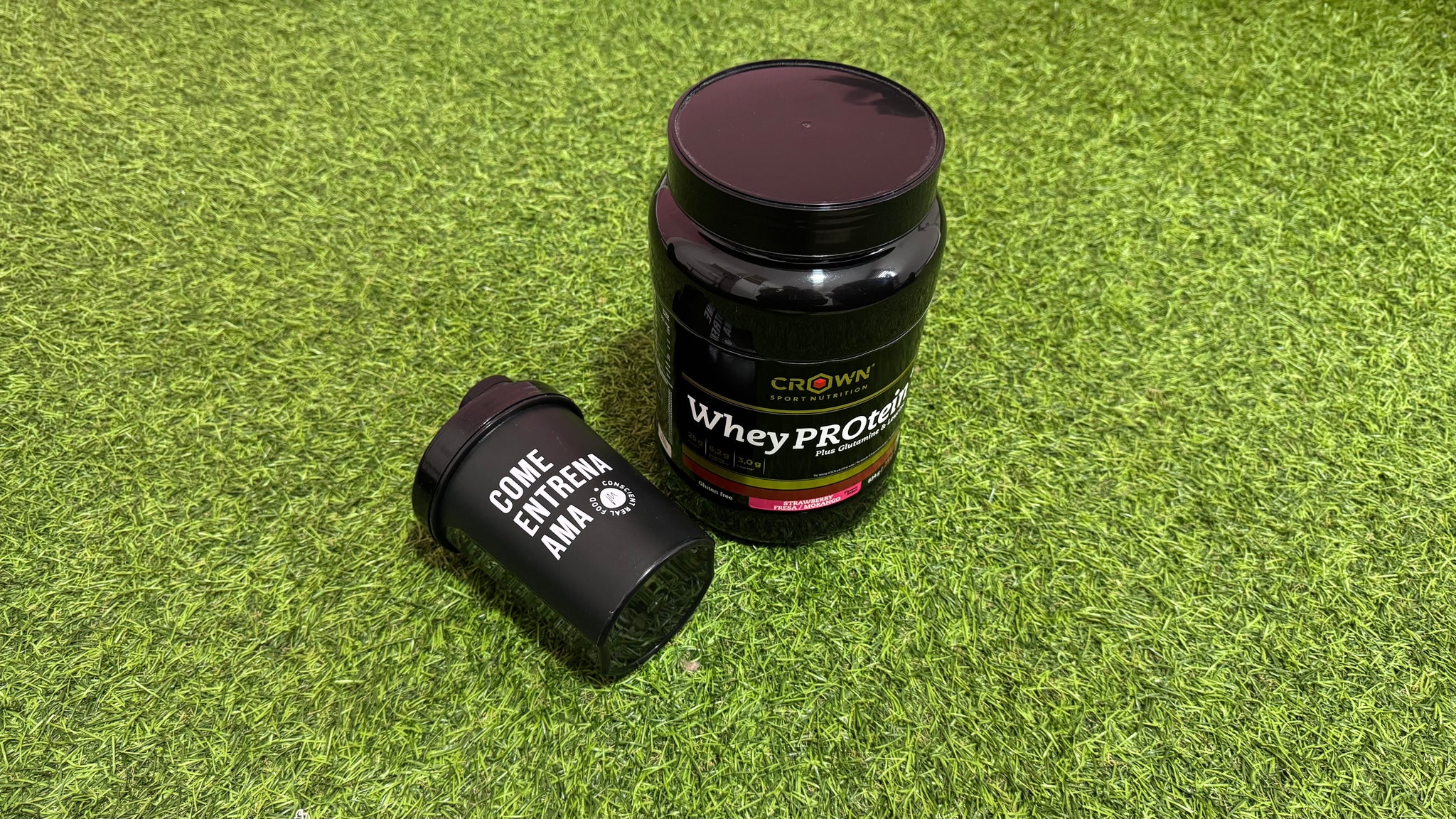 PROTEÍNAS